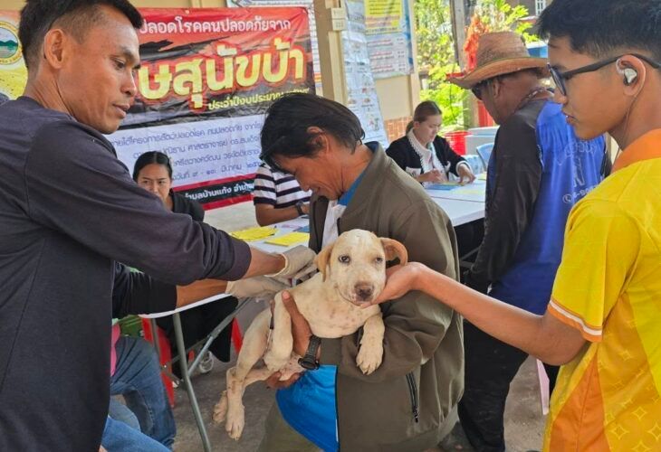 โครงการสัตว์ปลอดโรค คนปลอดภัยจากโรคพิษสุนัขบ้าฯ ปี 2569