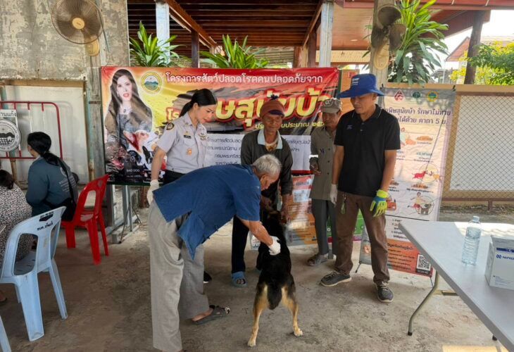 รูปภาพเพิ่มเติม