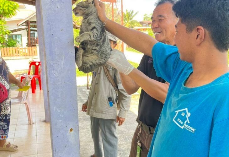 รูปภาพเพิ่มเติม