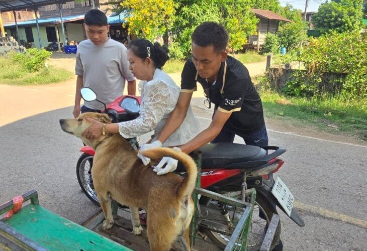 รูปภาพเพิ่มเติม