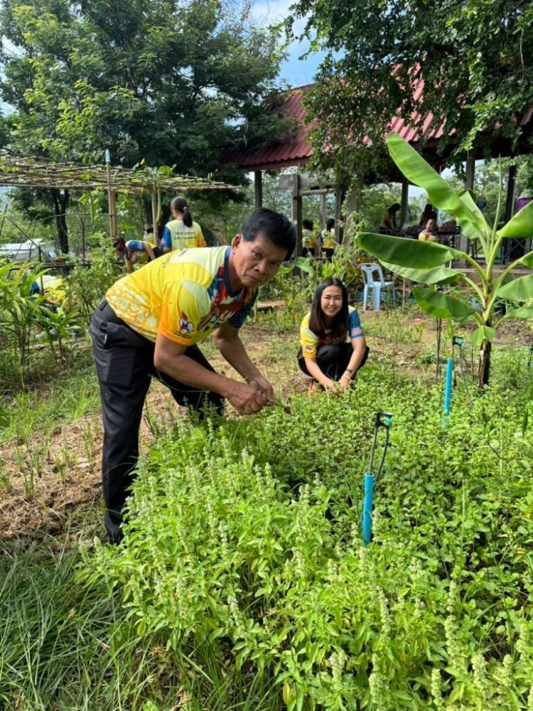 รูปภาพเพิ่มเติม